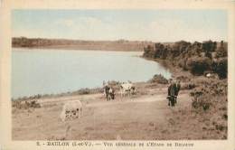 BAULON VUE GENERALE DE L'ETANG DE BELOUZE VACHES AU PRES - Other & Unclassified