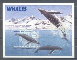 British Antarctic Territory - 1996 Whales Block MNH__(TH-10721) - Nuovi