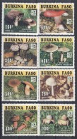 Burkina Faso - 1996 Mushrooms MNH__(TH-4534) - Burkina Faso (1984-...)