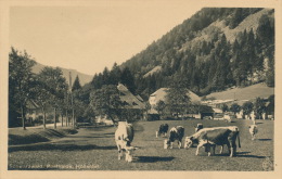 ALLEMAGNE - HÖLLENTAL - Posthalde - Höllental