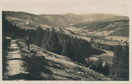 ALLEMAGNE - FELDBERG - BÄRENTAL - Feldberg