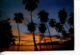 (252) New Calenonia Sunset - New Caledonia