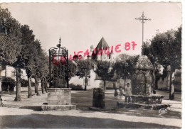 77 - PROVINS - LA PLACE DU CHATEL AVEC LA CROIX DES CHANGES - Provins