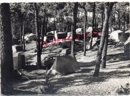 85 - LA TRANCHE SUR MER - LE CAMPING MUNICIPAL - La Tranche Sur Mer