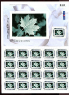 Canada **   N° 2099/2100 - Timbres - Photos  -  -2  Feuilles - - Blocs-feuillets