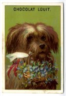 CHIEN AVEC BOUQUET DE FLEURS   -  CHOCOLAT LOUIT - Louit