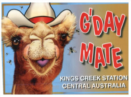 (550) Australia - NT - Kings Creek Station Camel - Zonder Classificatie