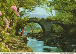 IRLANDE - CORK - Old Weir Bridge - Cork