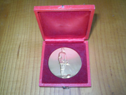 Médaille Valence, Drôme 1976 : Médaille épée Ou Fleuret De La Ville De Valence . E. Fraisse . Blason De La Ville . 50 Mm - Professionals/Firms