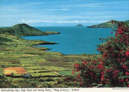 IRLANDE - CORK - Ballinskelligs Bay - Cork