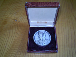 Médaille Ville De Valence, Drôme 1966 : Tête Laurée . Dorier Sc & A. Augis Edt. 50 Mm Couleur Argent - Professionnels / De Société