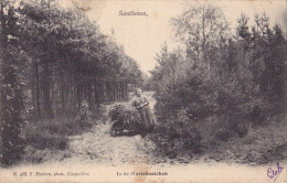 SANTHOVEN / ZANDHOVEN : In De Mastebosschen - Zandhoven