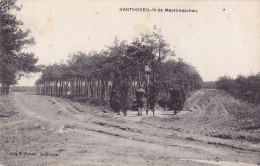 SANTHOVEN / ZANDHOVEN : In De Mastebosschen - Zandhoven