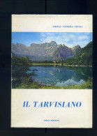 C.A.I. MONTE LUSSARI. " Il Tarvisiano ". 3° Ed. 1974. - Historia, Filosofía Y Geografía