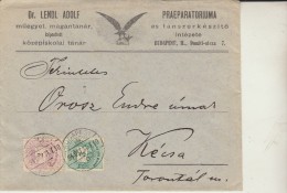 10008 - BUDAPEST LETTER 1894 VINTAGE  DR. LENDL ADOLF PRAEPARATORIUMA  HUNGARY - Covers & Documents