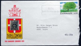 Denmark 1999  Letter Minr.1199  ( Lot 3603 ) - Covers & Documents