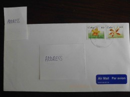 2009 - Letter - Envelope With Stamps Flowers / Brief Met Postzegels Bloemen - Storia Postale