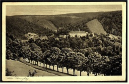 Schwarzburg In Thüringen  -  Das Schloß  -  Blick Vom Bahnhof  -  Ansichtskarte Ca.1925    (3504) - Bad Blankenburg