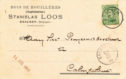 568/22 -  Carte Privée TP Petit Albert   ESSCHEN 1919 Vers CALMPTHOUT - Entete Bois De Houillères Stanislas Loos - 1915-1920 Albert I