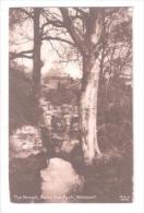 THE STOUR BELOW DEDHAM BRIDGE In Constable Country - Other & Unclassified