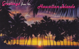 Sunset Through The Palms Greetings From The Hawaiian Islands - Andere & Zonder Classificatie