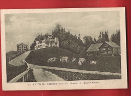 CDS7-04  St. Anton Bei Obberegg Gasthof Pension Rössle. .  Gelaufen In 1917 Nach Erlen Grabs - St. Anton