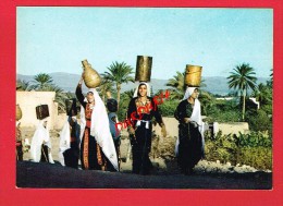 Asie - JORDANIE - CISJORDANIE - JERICHO - Femmes...avec Jarres - Jordan