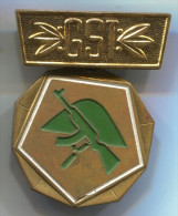 East Germany (DDR),medal GST , Army, Militaria, Metal - Duitsland