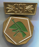 East Germany (DDR),medal GST , Army, Militaria, Metal - Allemagne