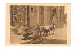 URRUGNE - PYRENEES ATLANTIQUES - ATTELAGE PASSANT DEVANT L'EGLISE - BELLE ANIMATION - Urrugne