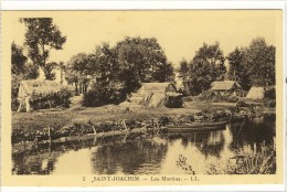 Carte Postale Ancienne Saint Joachim - Les Martins - Habitations - Saint-Joachim