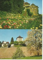 SCHLOSS HEIDEGG Luzern Gelfingen Rosengarten 2 Karten - Gelfingen