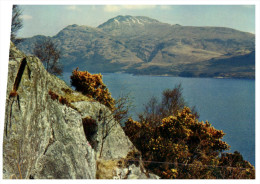 (543) England - Ben Lomond - Dunbartonshire