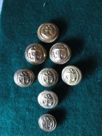 MARINE - NAVY -  ARGENTINA Officiel - Des Boutons D'uniformes Fixés - Set Uniform Buttons - Divise