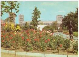 Frankfurt A.d. Oder - Botanischer Garten    -   Foto - Lehmann - Frankfurt A. D. Oder