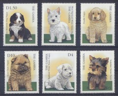 Gambia - 2000 Dogs MNH__(TH-2354) - Gambia (1965-...)