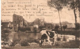 Quiévrain (7380) : Les Ruines Du Moulin Vallois,  Avec Aperçu Du Village. CPA. - Quievrain