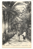 Cp, Algérie, Biskra, Une Allée De Palmiers, Jardin Landon - Biskra