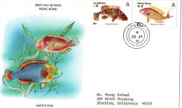 Hong Kong 1981 FDC - FDC