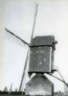 PUTTE (N.Br.) - Molen/moulin - De Molen Van Bogers, Een Verdwenen Standerdmolen (oorspronkelijk Gebouwd Te Antwerpen) - Other & Unclassified