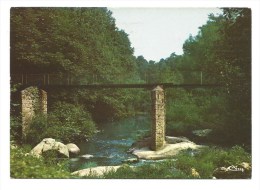 CPM - AIGREFEUILLE-SUR-MAINE (44) Passerelle Sur La Petite Maine - Aigrefeuille-sur-Maine