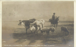 MONT SAINT MICHEL ..-- 50 . MANCHE ..-- Sur La Falaise . 1909 Vers LIEGE ( Melle Hélène QUARRE ) . Voir Verso . - Le Mont Saint Michel