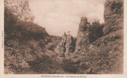 POISSONS (Haute-Marne) - Les Roches De Melaire - Poissons