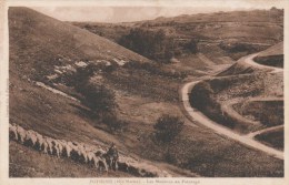 POISSONS (Haute-Marne) - Les Moutons Au Paturage - Poissons