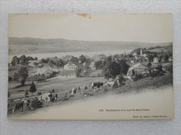 CPA 25 Doubs MALBUISSON Et Le Lac De  Saint -Point  - Troupeau De Vaches Dans Le Pré -  Cliché Ch.simon à Maiche 1910 - Valentigney