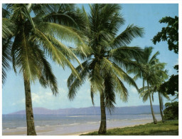 (PH 560) Fiji Coconut Beach  +  Living Together Stamp - Fidji