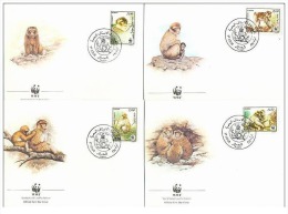 (WWF-069) FDC W.W.F. Algeria Barbary Macaque 1988 - FDC
