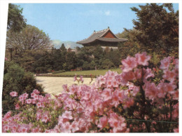 (PH 958) Korea - Seoul Secret Garden - Korea, South