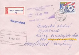 C10396 - Czech Rep. (1995) 417 22 Haj U Duchcova (stamp: 8,00 - Football, World Cup 1994 USA) - 1994 – Stati Uniti