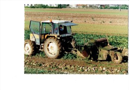 21 - Côte D´Or - SOIRANS FOUFFRANS - La Récolte Des Betteraves - Homme Tracteur Gros Plan RENAULT - Traktoren